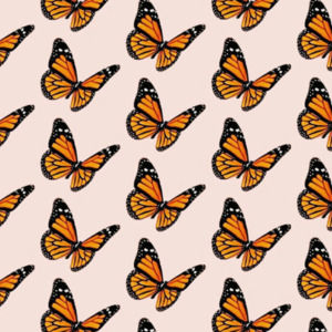 Meet your Posher, Ella